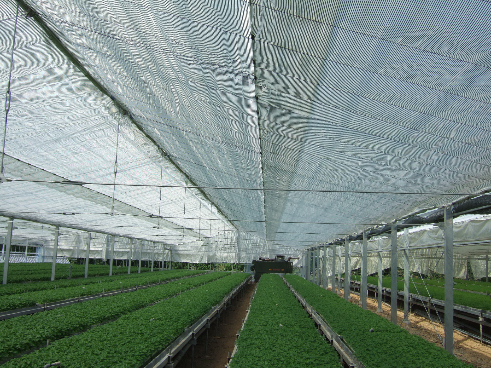 Covering Net & Greenhouse Curtain